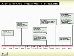 amy timeline3
