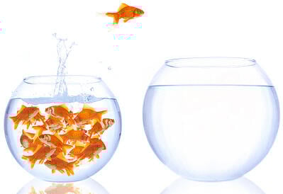 powerpoint silly graphics mistakes goldfish