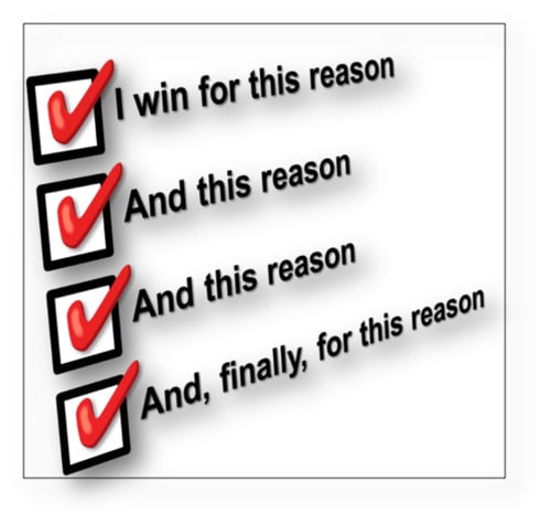 appellate argument briefs consultants