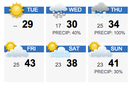 litigators compared to meteorologists