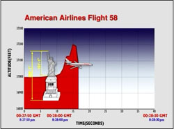 Court Graphics American Airlines Air Turbulance Example