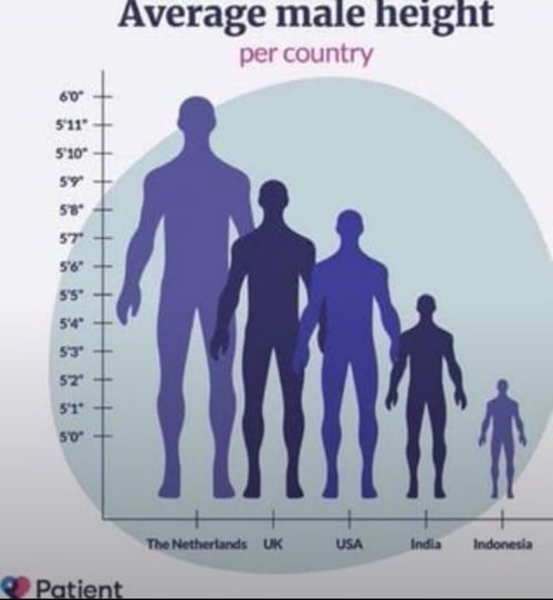 Average height